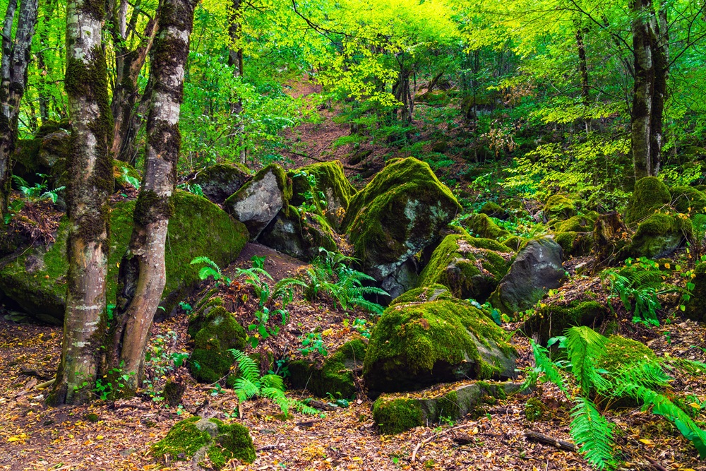 Speleoczołganie – MnO LVI Jesienne & LVI Nocne 
