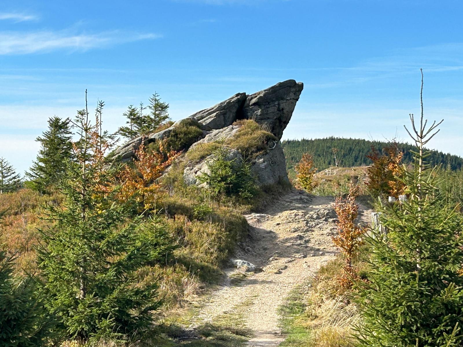 Wyniki konkursów organizowanych w ramach kampanii edukacyjno-informacyjnej ZPKWŚ pn. „Jak o przyrodę dbać, by mogła pięknie trwać”