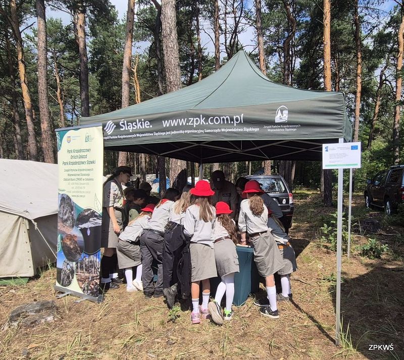 Harcerze zgromadzeni pod namiotem ZPKWŚ podczas warsztatów edukacyjnych o bezpiecznym i ekologicznym wypoczynku letnim.