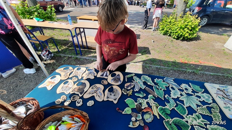 Dziecko w czerwonej koszulce z nadrukiem dinozaura stoi przy stole wystawowym na świeżym powietrzu, oglądając i układając drewniane puzzle edukacyjne przedstawiające zwierzęta oraz rośliny. Obok stoją koszyki z przypinkami i odblaskami. W tle widać ławki, krzesła, ludzi oraz zaparkowany samochód. 