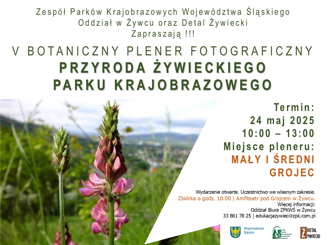 Na górze plakatu nazwy organizatorów, niżej tytuł pleneru, niżej po lewej zdjęcie rośliny na tle gór, po prawej informacje o terminie i miejscu spotkania, na dole po prawej logotypy.