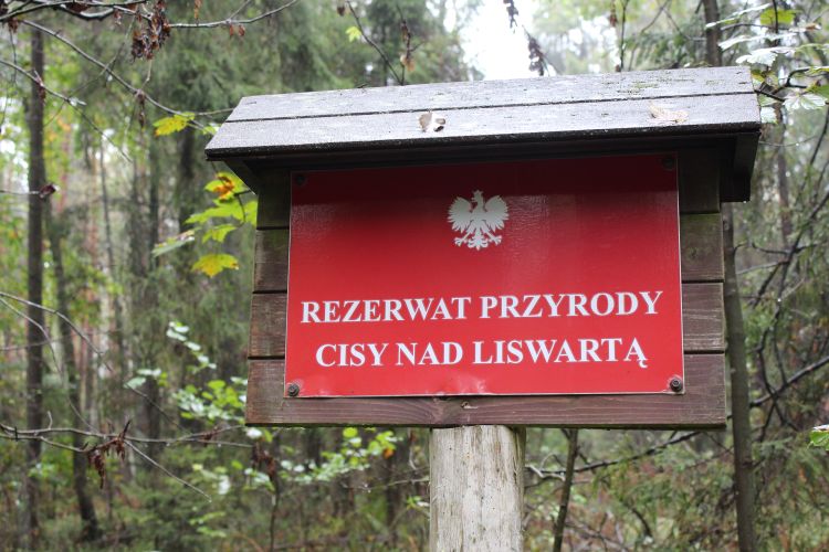 Tabliczka z napisem „Rezerwat przyrody Cisy nad Liswartą”.