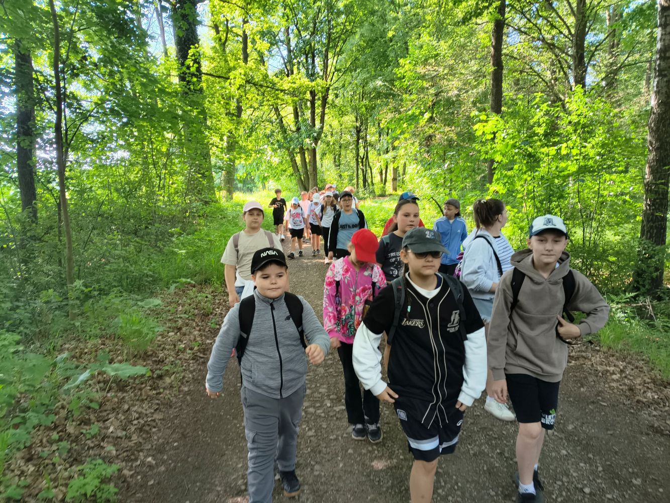 Grupa dzieci podczas wędrówki po lesie.