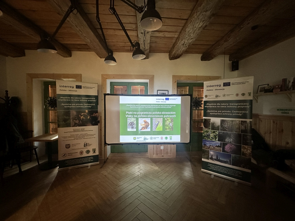 Sala schroniska. Na pierwszym planie ekran z wyświetloną prezentacją.