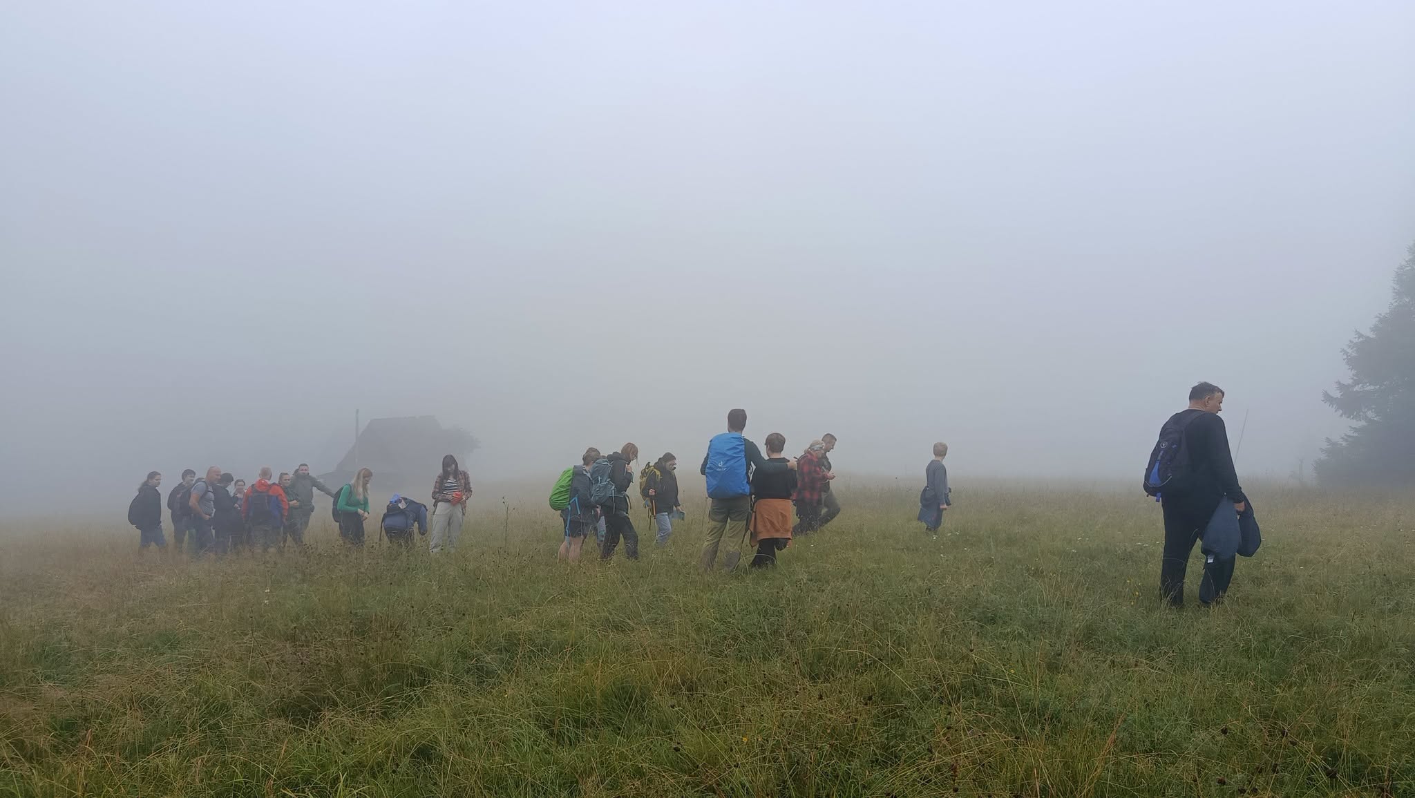 Grupa osób idzie przez hale. Dookoła mgła.
